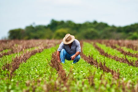 Seguro Multirisco Rural!